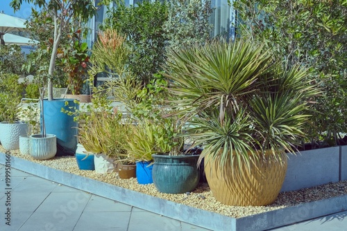 Modern urban landscaping with decorative potted plants, succulents and greenery in a contemporary outdoor environment. Concept of sustainable city design, outdoor living and urban nature.