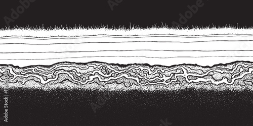 Abstract horizontal grunge band background with intricate organic lines and distressed texture in black and white graphic design abstract art cross section abstract background horizontal