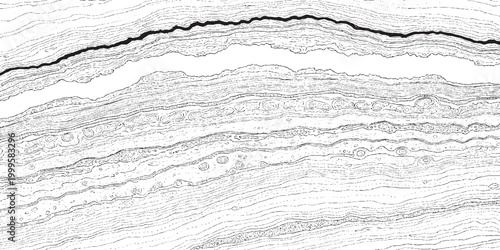 Abstract wavy distressed grunge texture with rough horizontal line on white background rough edge distressed abstract background monochrome wallpaper decorative artistic creative halftone