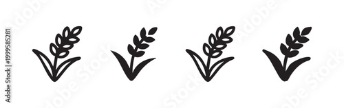 Wheat stalk and grain icon set, agriculture and gluten-free symbols in outline and solid