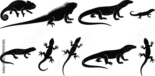 Lizard and reptile silhouette collection with chameleon, iguana, gecko, and crawling poses – vector illustration