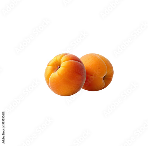 Two ripe, orange-hued apricots isolated on a stark, black background