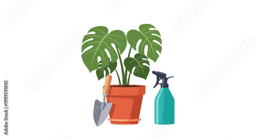 Essential tools for indoor plant care, featuring a vibrant Monstera deliciosa, a potting trowel, and a water spray bottle, perfect for home gardening enthusiasts