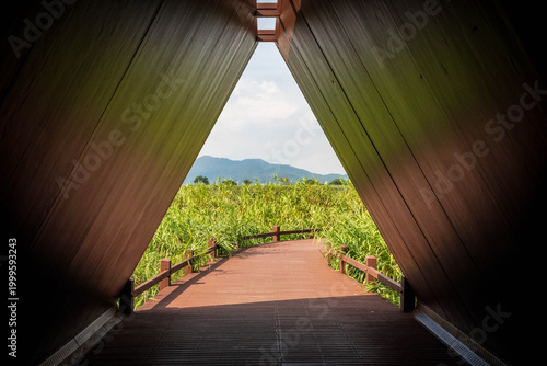 Photos Baie humide de Suncheon, Corée du Sud, Asie