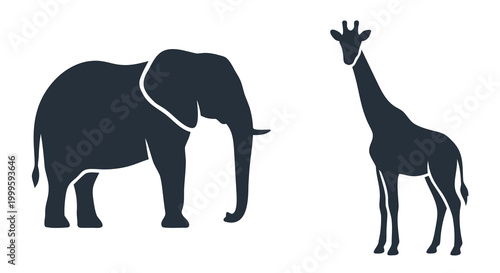 Photography wild animals silhouettes lion elephant giraffe zebra