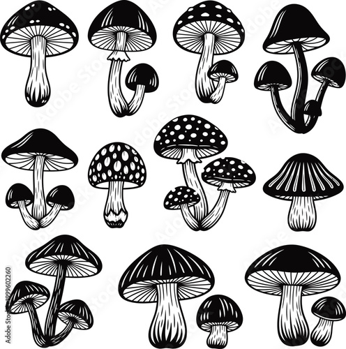 Vintage botanical illustration of mushrooms a black and white silhouette collection