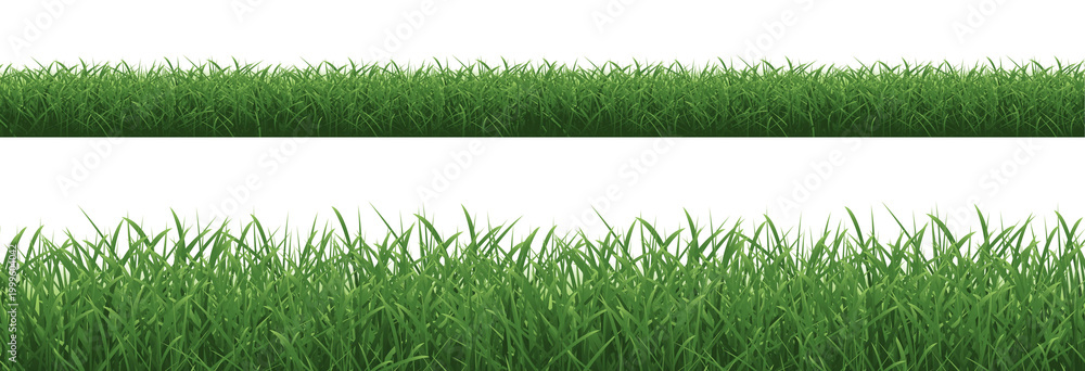 Obraz premium Green Borders Collection Isolated White Background