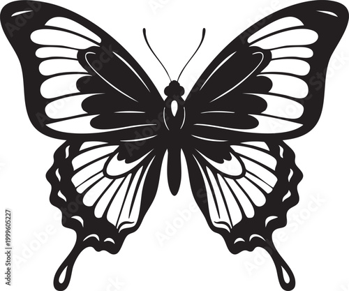 Black butterfly silhouette with detailed wings