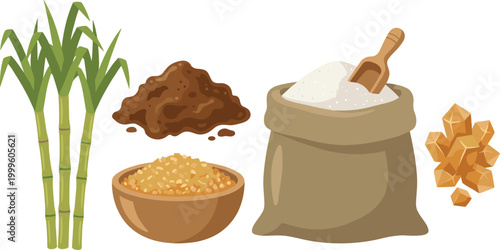 Sugar Production Ingredients Vector Illustration Featuring Sugarcane Brown Sugar Granules White Sugar Sack and Cubes Sweet Food Agriculture Collection