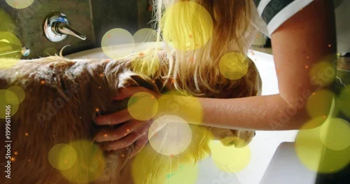 Obraz Bathing carer rinsing golden dog in bathtub near chrome faucet, wearing striped shirt with bokeh
