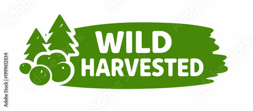 Green grunge brush stroke badge featuring pine tree and berry icons with bold white text Wild Harvested on a white background. Natural foraging and organic product concept.