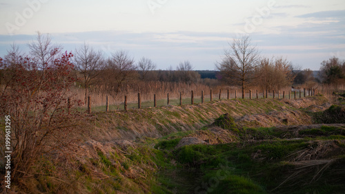 Foto Rural landscape with fence posts marking a field boundary