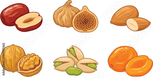 Dried Fruits and Nuts Illustration Set with Dates, Figs, Almonds, Walnuts, Pistachios, and Apricots for Healthy Snacks and Organic Food Design