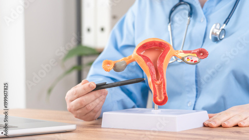 Medical professional in blue scrubs holds a detailed human reproductive anatomy model. Red and orange organ segments show ovaries and uterus. Stethoscope rests on their neck