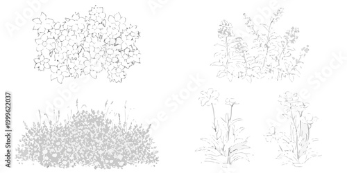Floral arrangements line art set four botanical sketches on white