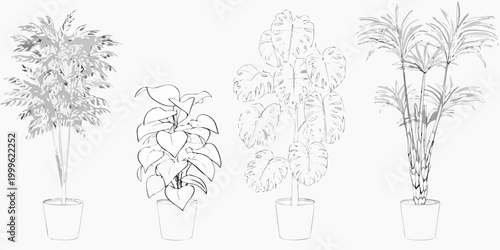 Potted indoor plants line art set of four botanical sketches