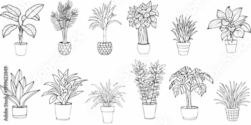 Potted plant collection twelve line drawing variants on white background