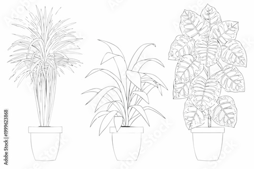 Potted plants line art three varieties in pots vector illustration