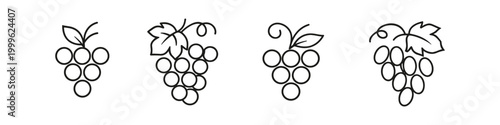 Grape Icons Set