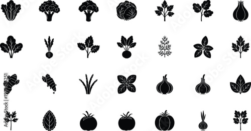Vector illustration of vegetable and herb icons in diverse edible plant silhouettes in decorative design