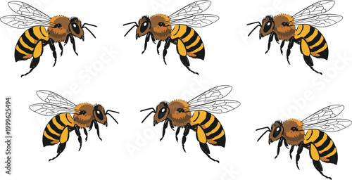 Vector illustration of bees with striped bodies, transparent wings and antennae in decorative design