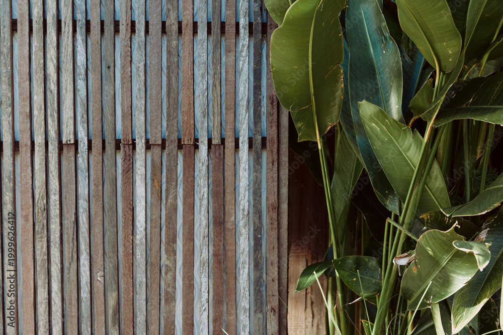 Obraz premium Wood fence plant leaves outdoor nature texture rustic mood, showing a calm garden scene with greenery and natural light on a wooden backdrop.