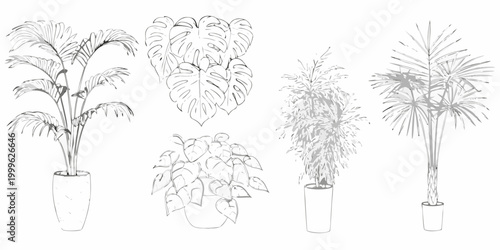 Potted indoor plants collection line drawing illustration on white background
