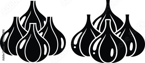 Vector illustrations of garlic bulbs with black and white ingredient seasoning vegetable aromatic illustration culinary