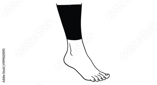 Foot and leg silhouette on a white background silhouette