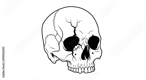 Detailed Cracked Human Skull Line Art Illustration. Vintage Anatomical Skeleton Head Drawing for Gothic, Halloween, and Medical Concepts.
