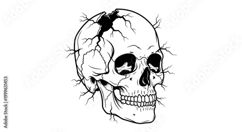 Black and white cracked human skull vector illustration with branching roots. Creepy gothic drawing, death, decay, and macabre art.