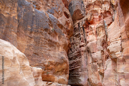 Obraz na plátně Ancient city of Petra in Jordan