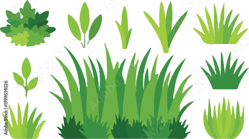 Green Grass & Bush Vector Set Nature Landscape and Garden Element Collection