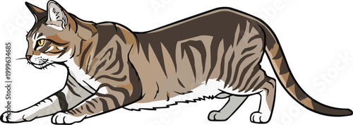 Cyprus Cat focused stalking movement side view vector illustration
