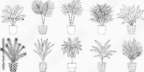 Potted plant collection twelve line drawing variants on white background