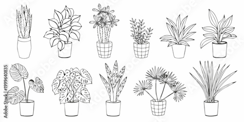 Potted plant collection twelve line drawing variants on white background