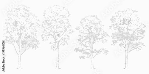 tree outlines in grayscale vector style high quality