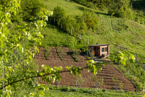 Tableau sur toile Small wooden shed in a cultivated hillside garden with neatly arranged soil rows and surrounding greenery, capturing rural farming and self sufficient lifestyle in nature