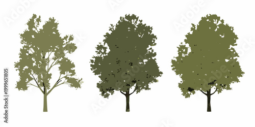 three tree icons in realistic vector style on white background