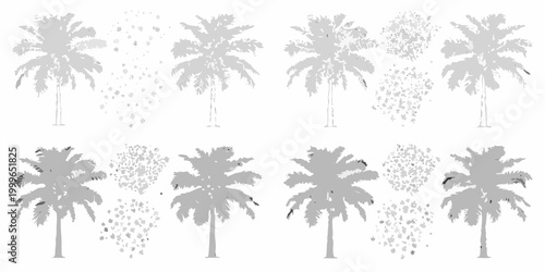 Fotografija palm tree silhouettes in gray scale on white background