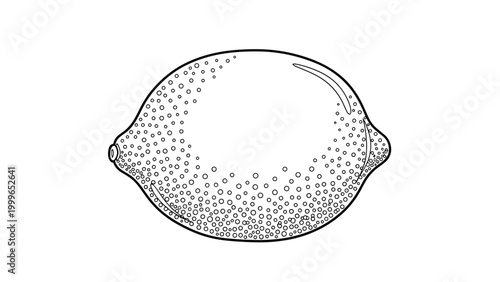 Detailed black and white line drawing of a lemon with its characteristic bumpy skin texture is shown as a clean fruit icon.