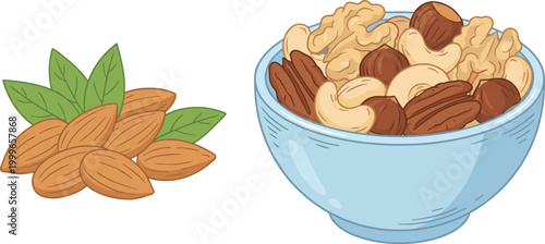 Mixed Nuts Illustration Set with Almonds, Cashews, Pecans, and Hazelnuts in Bowl for Healthy Snacks, Organic Food, and Nutrition Design