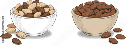 Almond Nuts Illustration with Bowls of Shelled and Unshelled Almonds for Healthy Snacks, Organic Food, and Nutrition Design