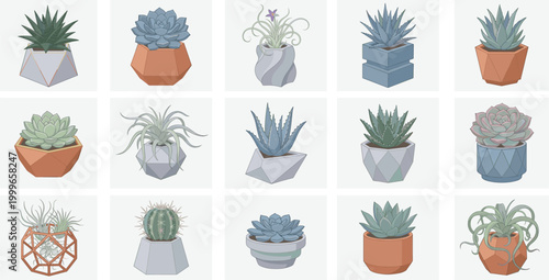 Succulent Plants in Decorative Pots Collection with Modern Indoor Cactus, Aloe, and Houseplant Designs for Home Decor and Botanical Illustration