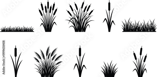 Grass and Cattail Silhouette Set with Reed Plants, Meadow Grass Clumps, and Marsh Vegetation Elements for Nature, Landscape, and Environmental Designs