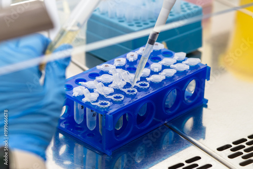 Photos Conducting laboratory research and tests in the clinic laboratory, introducing liquid into the Eppendorf in a stand using a dispenser