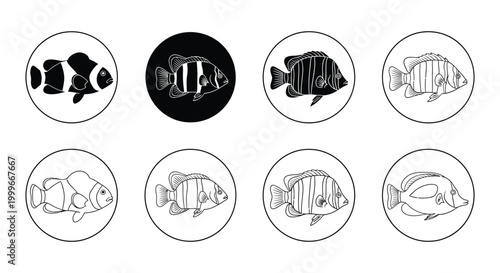 set of fish silhouettes in circular frames silhouette high quality professional detailed modern elegant stylish clean crisp vibrant colorful digital creative