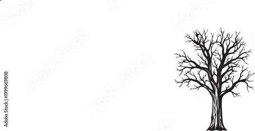 A black silhouette of a bare tree with many branches isolated on white background