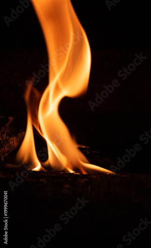 Fire flame on a dark background. Yellow tongues of fire in the fireplace. Flames concept.