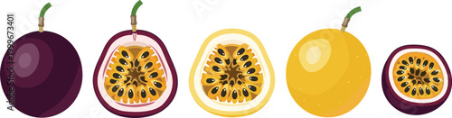 Passion fruit vector set featuring whole and sliced tropical maracuya, exotic fruit illustration collection